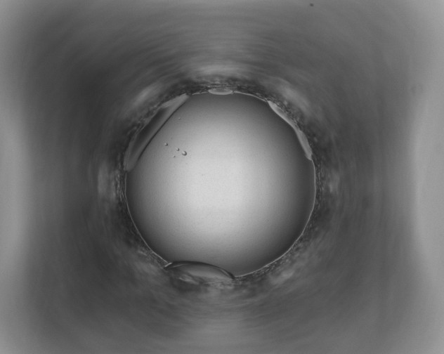 X0000111040965200907021555