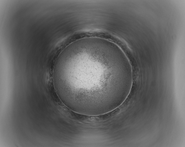 X0000111040966200907021555