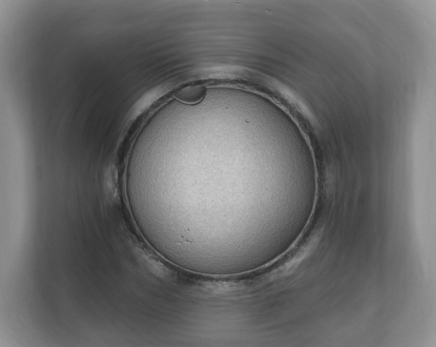 X0000111040970200907021555