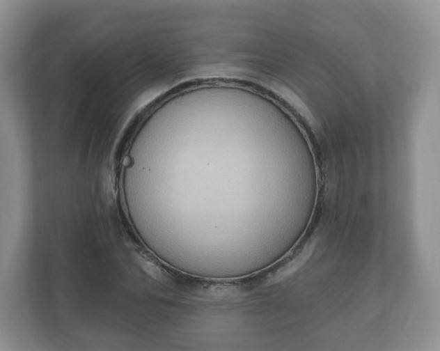 X0000111040974200907021555