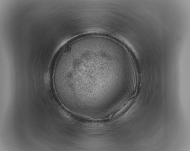 X0000111040975200907021555