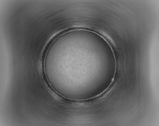 X0000111040976200907021555
