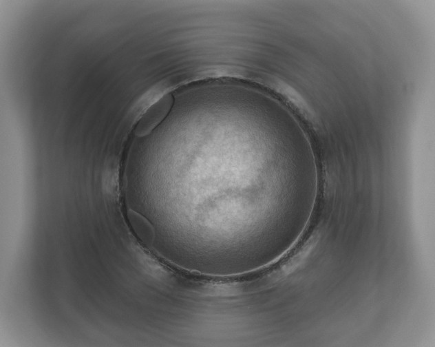 X0000111040977200907021555