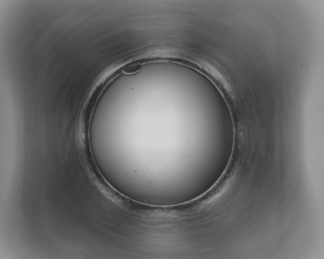 X0000111040981200907021555