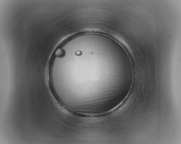 X0000111040984200907021555