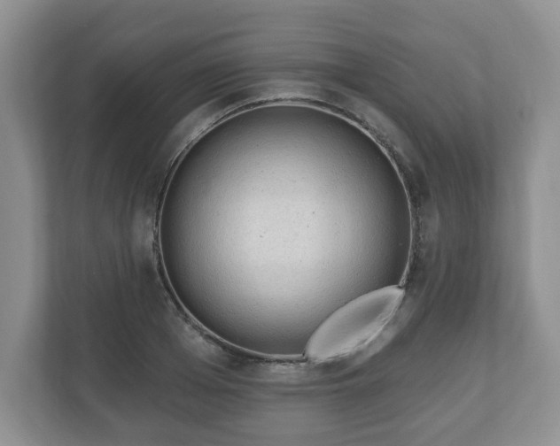 X0000111040985200907021555
