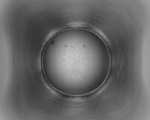 X0000111040986200907021555