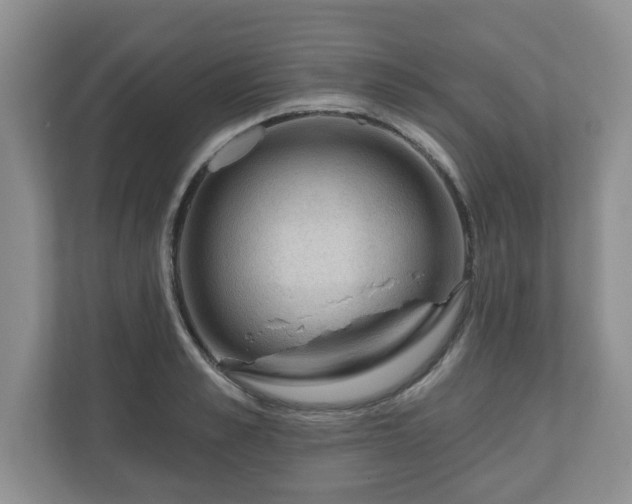 X0000111040989200907021555