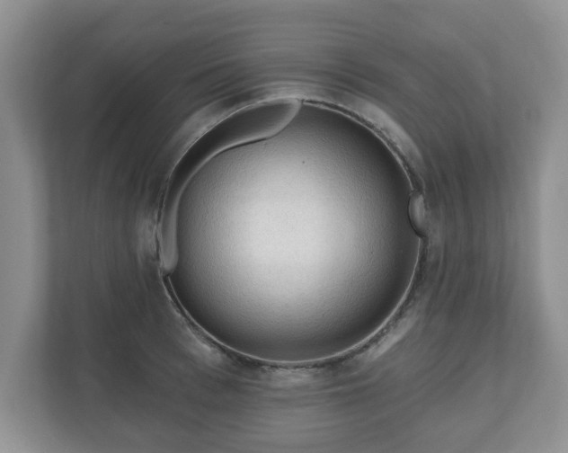 X0000111040993200907021555