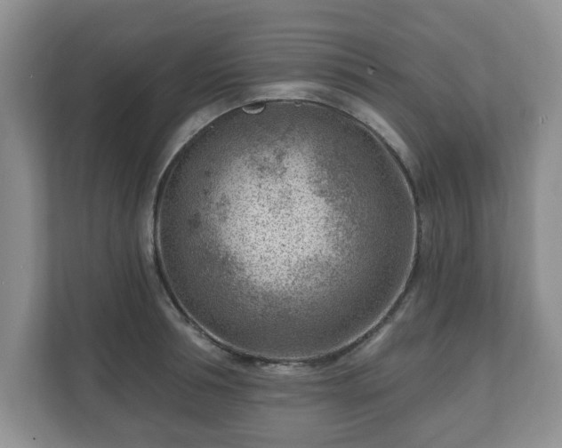 X0000111040994200907021554