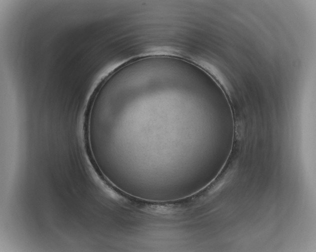 X0000111040995200907021554
