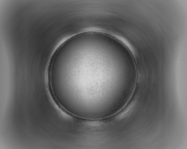 X0000111040999200907021554