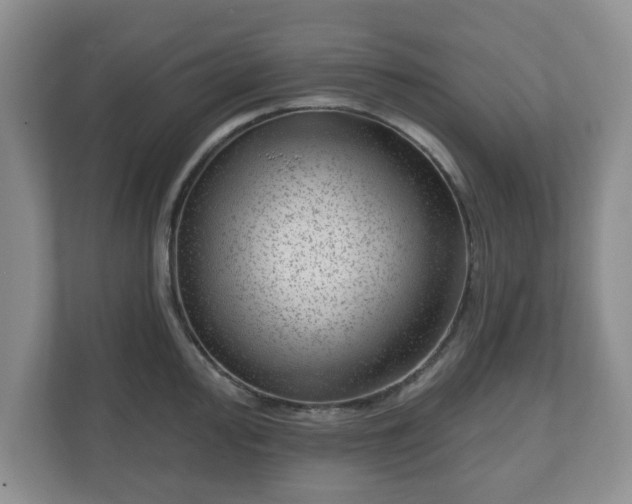 X0000111041000200907021554
