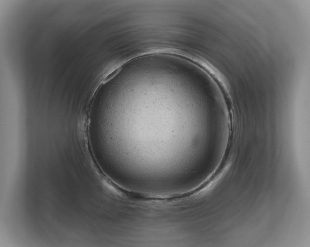 X0000111041001200907021554