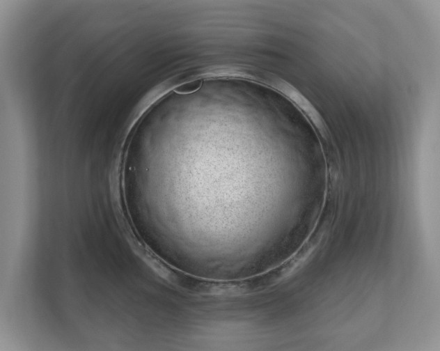 X0000111041002200907021554