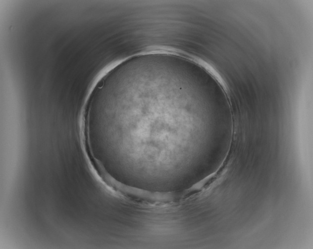 X0000111041003200907021554