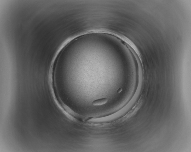 X0000111041005200907021554