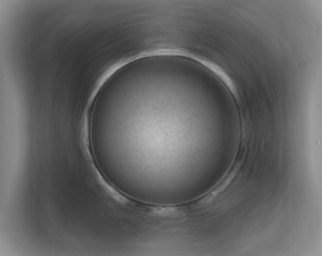 X0000111041006200907021554
