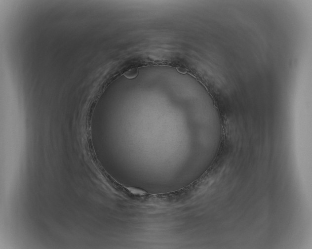 X0000111041009200907021554