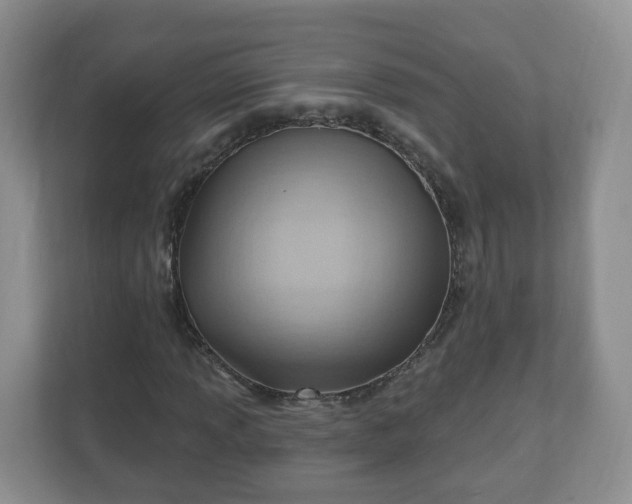 X0000111041013200907021554