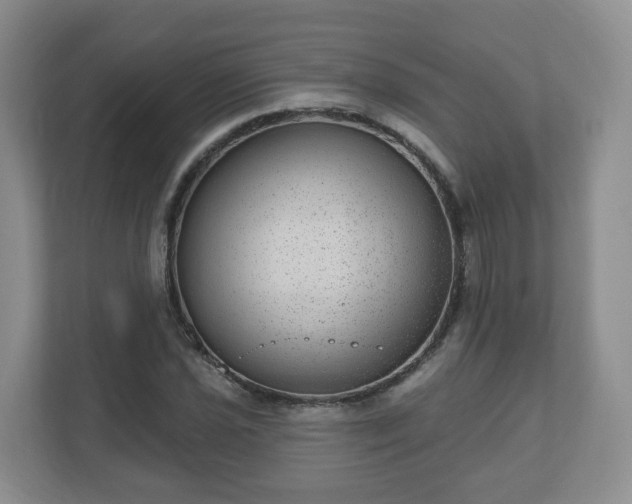 X0000111041021200907021554