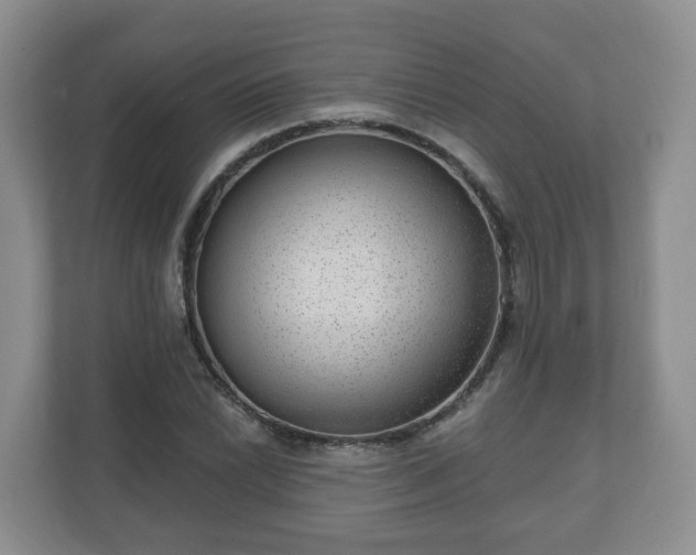 X0000111041022200907021554