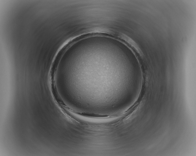 X0000111041024200907021554