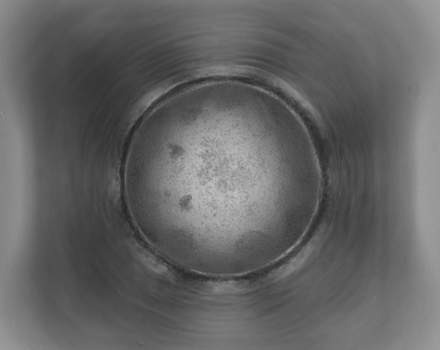 X0000111041025200907021554
