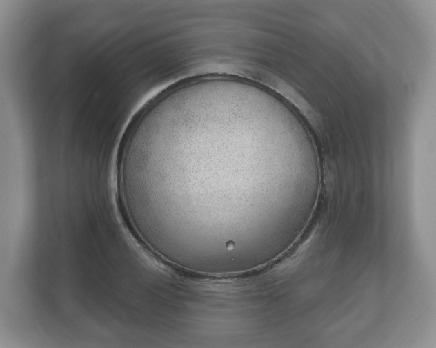 X0000111041028200907021554
