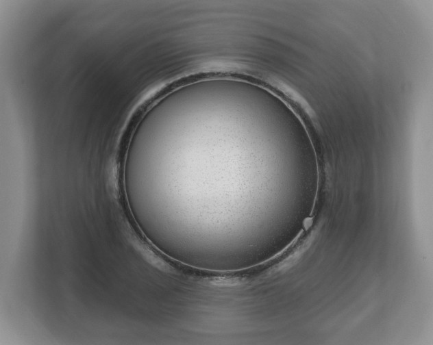 X0000111041029200907021554
