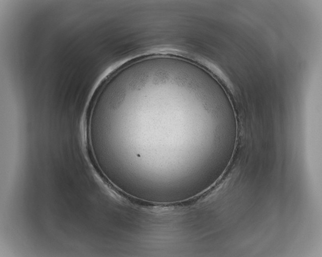 X0000111041032200907021554