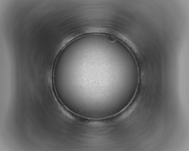 X0000111041033200907021554