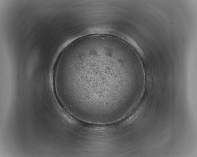 X0000111041035200907021554