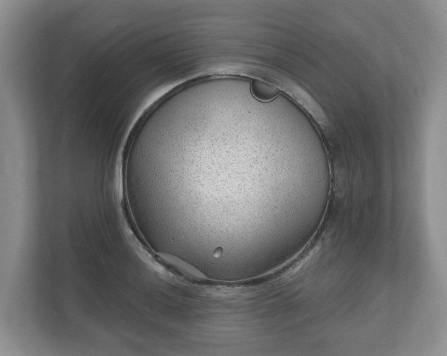 X0000111041036200907021554