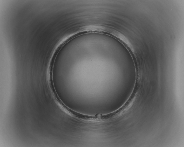 X0000111041037200907021554