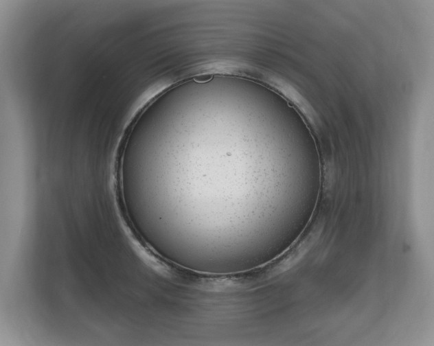 X0000111041042200907021554