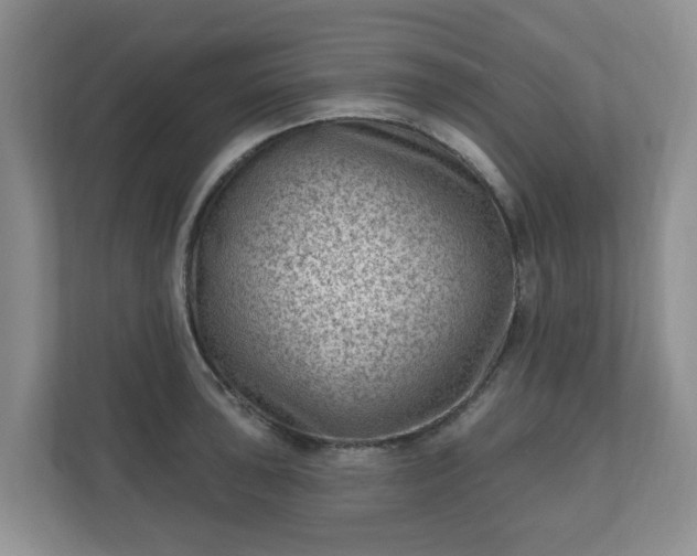 X0000111041043200907021554