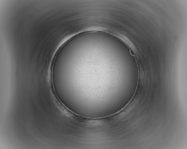 X0000111041044200907021554