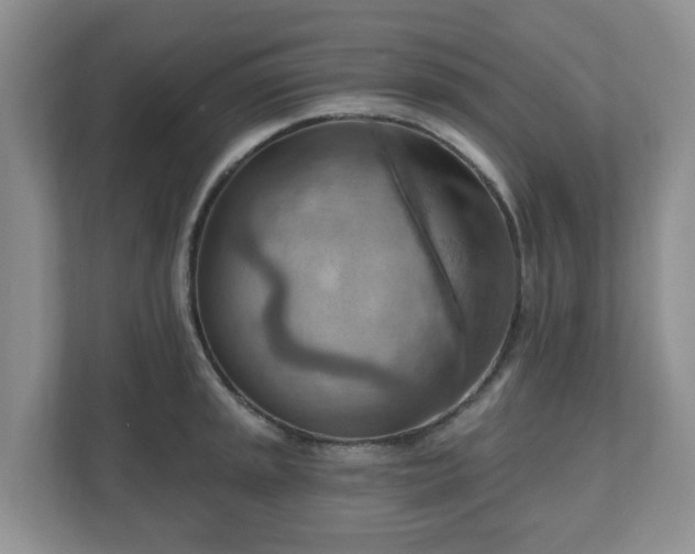 X0000111041045200907021554