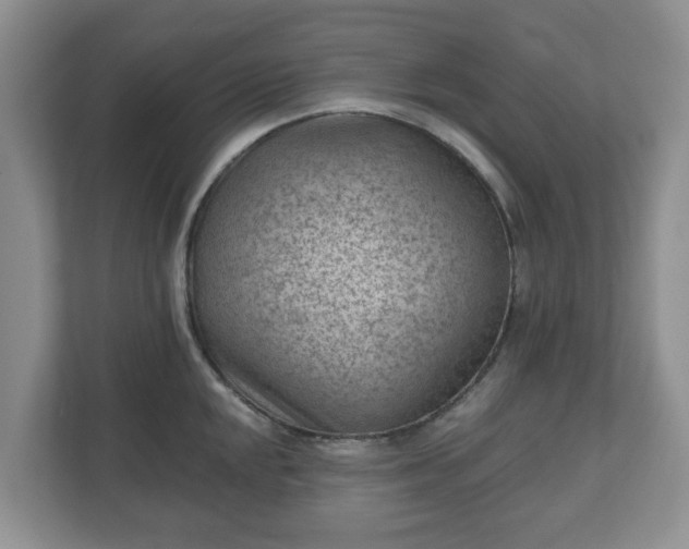 X0000111041048200907021554