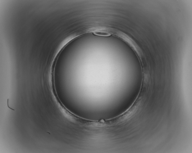 X0000111041050200907021554