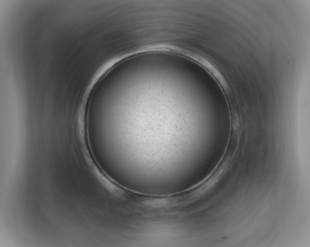 X0000111041054200907021554