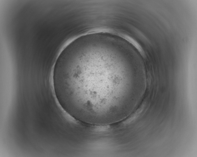 X0000111041055200907021554