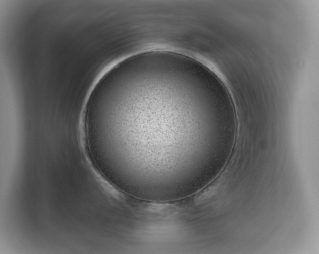X0000111041056200907021554
