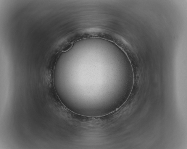 X0000111041062200907021554
