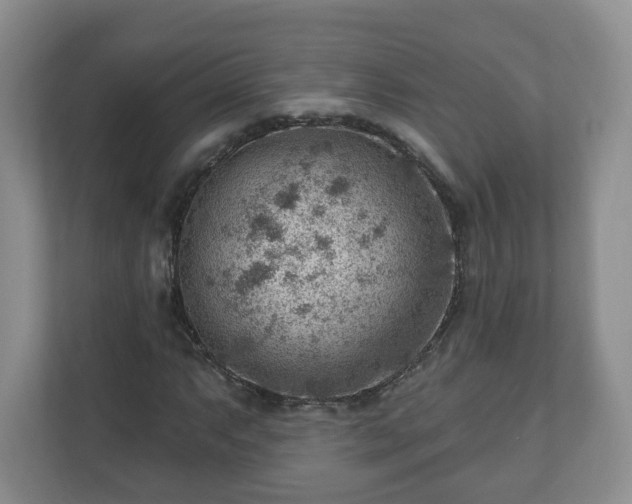 X0000111041063200907021554