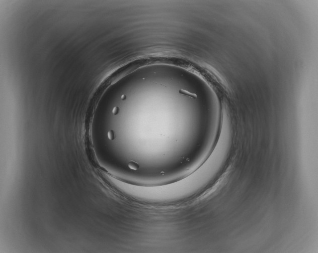 X0000111041065200907021554