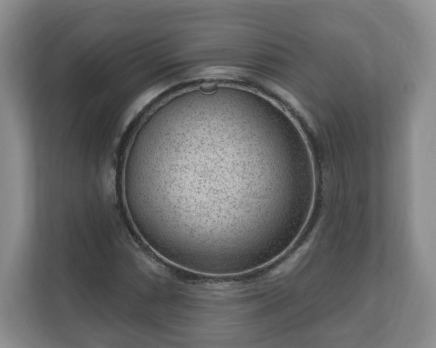 X0000111041066200907021554