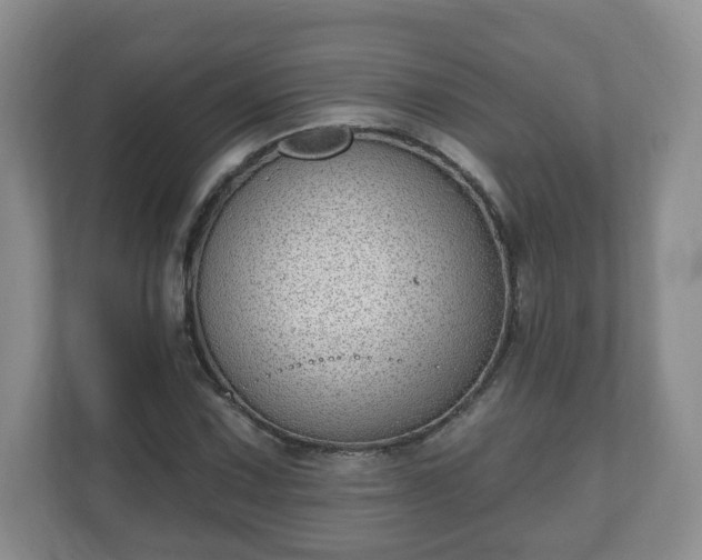 X0000111041067200907021554
