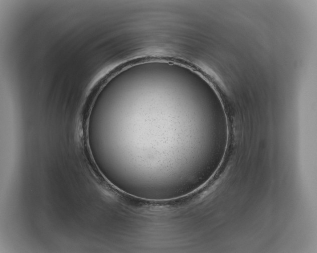 X0000111041070200907021554